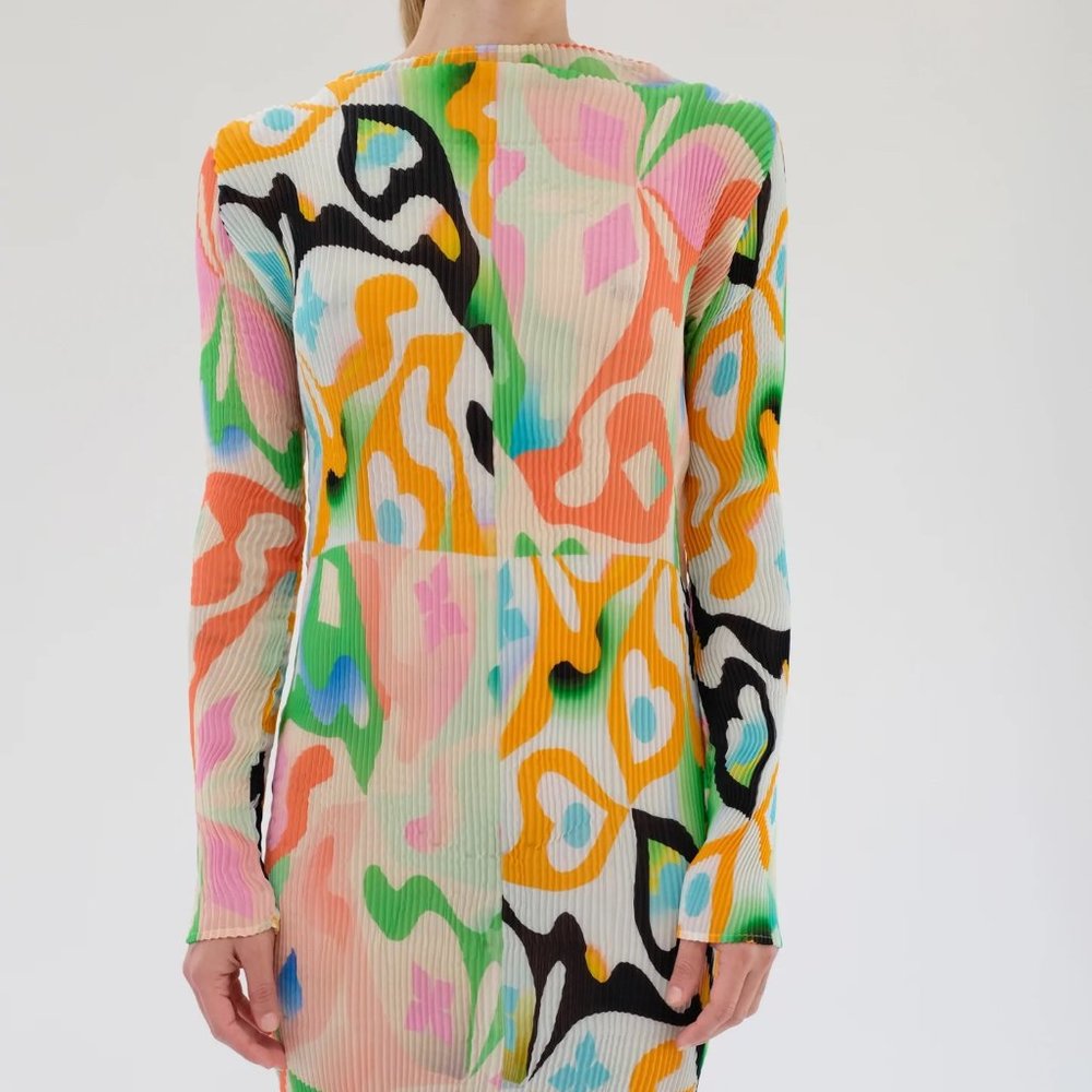 Julia Heuer - Ludwig dress in Theo print O/S